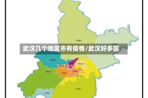 武汉几个地区市有疫情/武汉好多区