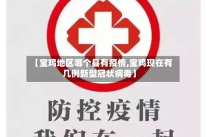 【宝鸡地区哪个县有疫情,宝鸡现在有几例新型冠状病毒】