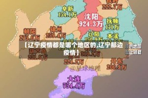 【辽宁疫情都是哪个地区的,辽宁那边疫情】