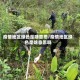 疫情地区绿色是啥意思/疫情地区绿色是啥意思啊