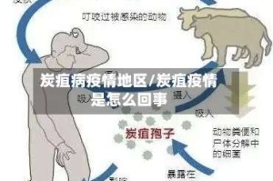 炭疽病疫情地区/炭疽疫情是怎么回事