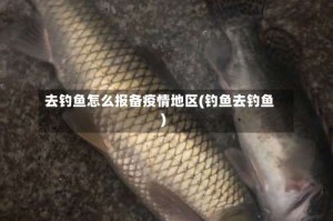 去钓鱼怎么报备疫情地区(钓鱼去钓鱼)