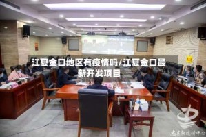江夏金口地区有疫情吗/江夏金口最新开发项目