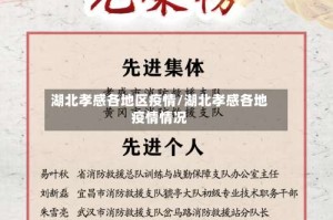 湖北孝感各地区疫情/湖北孝感各地疫情情况