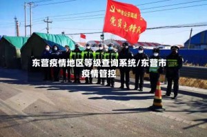 东营疫情地区等级查询系统/东营市疫情管控