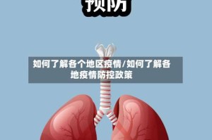 如何了解各个地区疫情/如何了解各地疫情防控政策