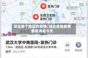 湖北各个地区的疫情/湖北各地疫情最新消息今天