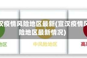 宣汉疫情风险地区最新(宣汉疫情风险地区最新情况)