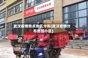 武汉疫情热点地区分布(武汉疫情分布地图小区)