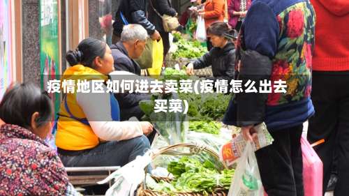 疫情地区如何进去卖菜(疫情怎么出去买菜)-第2张图片