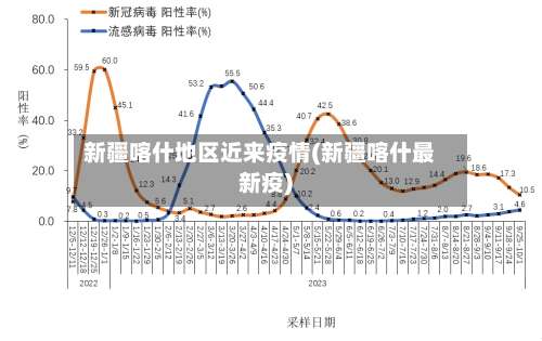 新疆喀什地区近来疫情(新疆喀什最新疫)-第2张图片