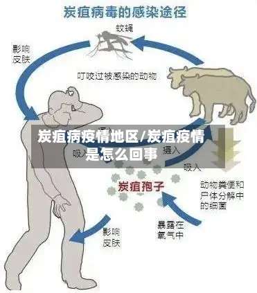 炭疽病疫情地区/炭疽疫情是怎么回事-第1张图片