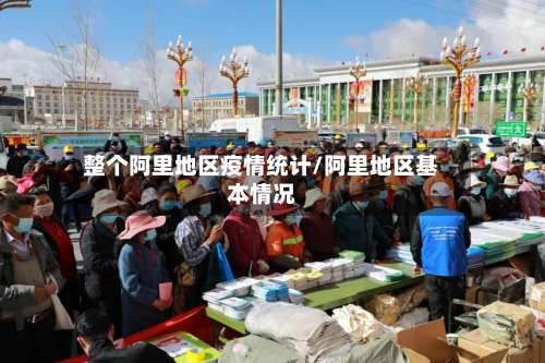 整个阿里地区疫情统计/阿里地区基本情况-第3张图片
