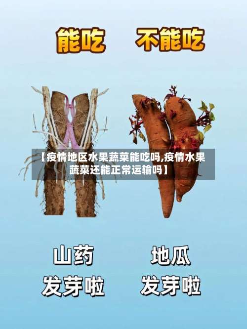 【疫情地区水果蔬菜能吃吗,疫情水果蔬菜还能正常运输吗】-第2张图片