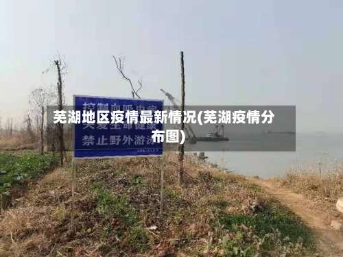 芜湖地区疫情最新情况(芜湖疫情分布图)-第3张图片
