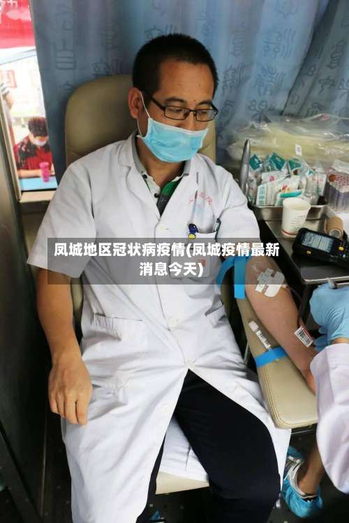 凤城地区冠状病疫情(凤城疫情最新消息今天)-第2张图片