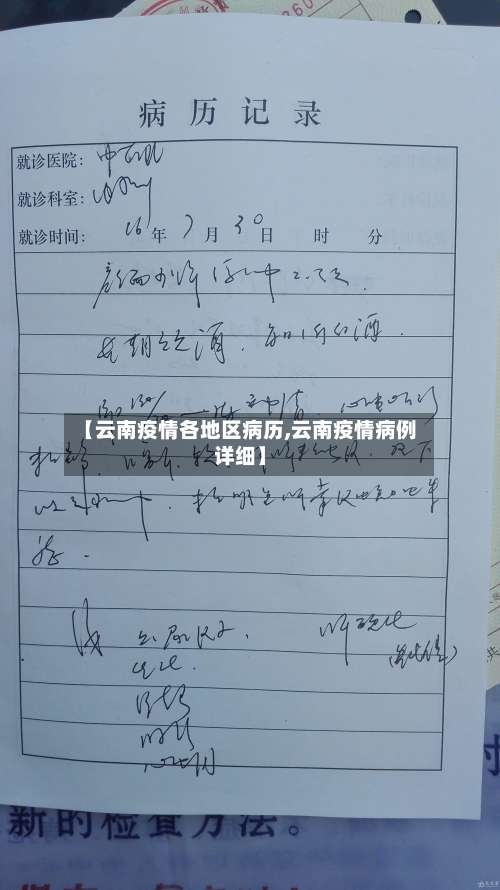 【云南疫情各地区病历,云南疫情病例详细】-第3张图片