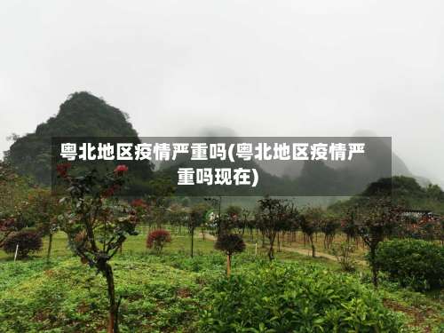 粤北地区疫情严重吗(粤北地区疫情严重吗现在)-第1张图片