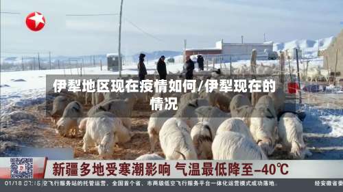 伊犁地区现在疫情如何/伊犁现在的情况-第3张图片