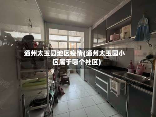 通州太玉园地区疫情(通州太玉园小区属于哪个社区)-第3张图片
