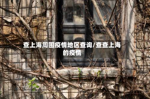 查上海周围疫情地区查询/查查上海的疫情-第2张图片