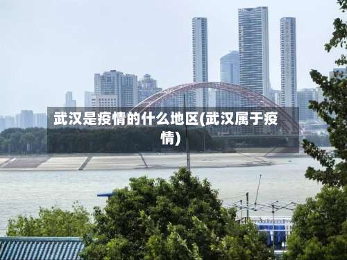 武汉是疫情的什么地区(武汉属于疫情)-第2张图片