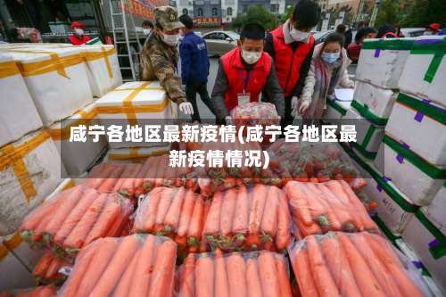 咸宁各地区最新疫情(咸宁各地区最新疫情情况)-第1张图片