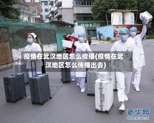 疫情在武汉地区怎么传播(疫情在武汉地区怎么传播出去)-第1张图片
