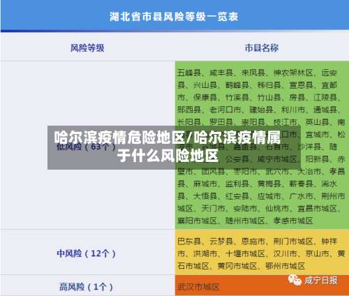 哈尔滨疫情危险地区/哈尔滨疫情属于什么风险地区-第2张图片