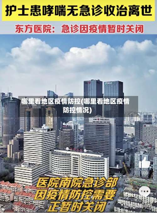 哪里看地区疫情防控(哪里看地区疫情防控情况)-第2张图片