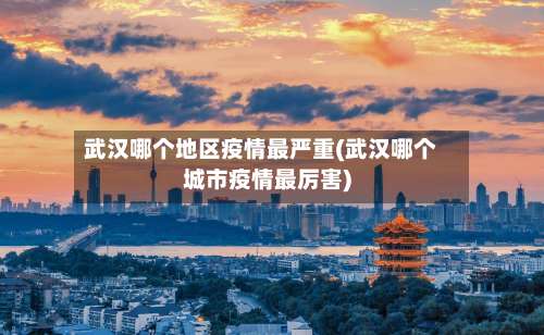 武汉哪个地区疫情最严重(武汉哪个城市疫情最厉害)-第1张图片