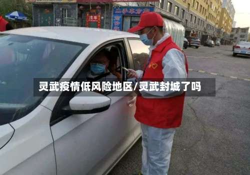 灵武疫情低风险地区/灵武封城了吗-第1张图片