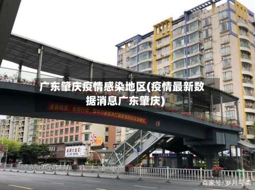 广东肇庆疫情感染地区(疫情最新数据消息广东肇庆)-第1张图片