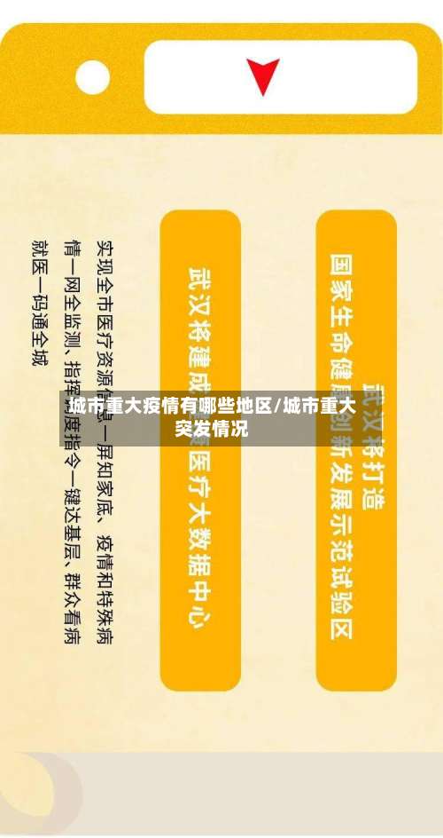 城市重大疫情有哪些地区/城市重大突发情况-第2张图片