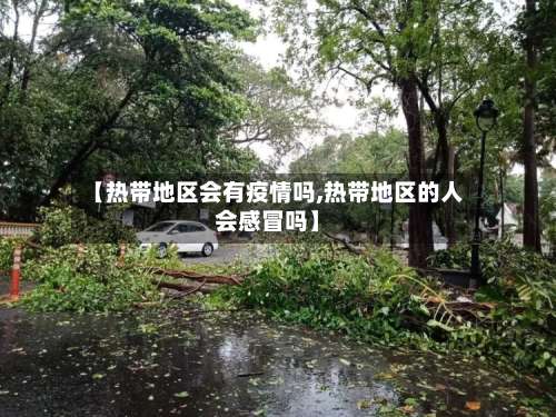 【热带地区会有疫情吗,热带地区的人会感冒吗】-第2张图片