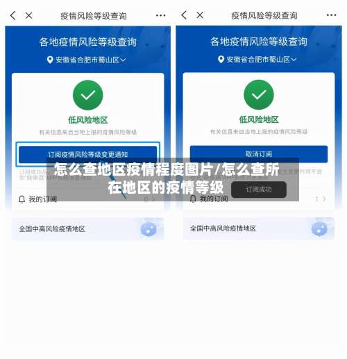 怎么查地区疫情程度图片/怎么查所在地区的疫情等级-第2张图片