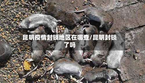 昆明疫情封锁地区在哪查/昆明封锁了吗-第1张图片