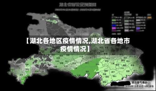 【湖北各地区疫情情况,湖北省各地市疫情情况】-第1张图片