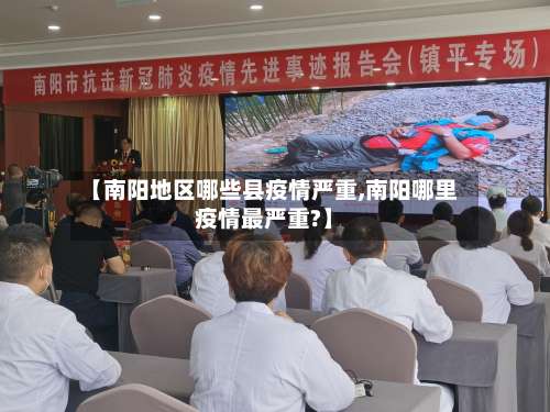 【南阳地区哪些县疫情严重,南阳哪里疫情最严重?】-第2张图片