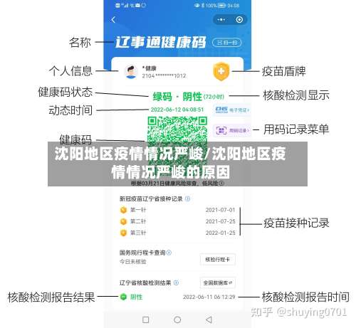 沈阳地区疫情情况严峻/沈阳地区疫情情况严峻的原因-第3张图片