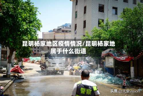 昆明杨家地区疫情情况/昆明杨家地属于什么街道-第2张图片