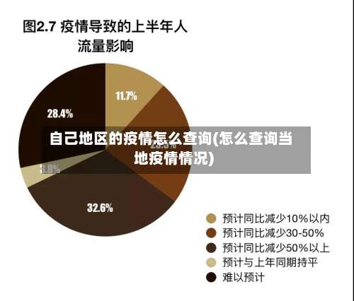 自己地区的疫情怎么查询(怎么查询当地疫情情况)-第2张图片