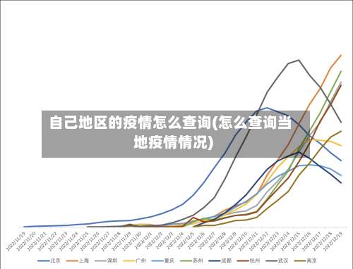 自己地区的疫情怎么查询(怎么查询当地疫情情况)-第3张图片