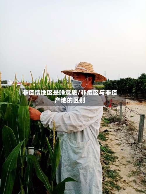非疫情地区是啥意思/非疫区与非疫产地的区别-第2张图片