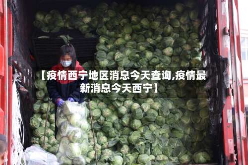 【疫情西宁地区消息今天查询,疫情最新消息今天西宁】-第2张图片