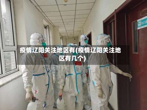 疫情辽阳关注地区有(疫情辽阳关注地区有几个)-第1张图片