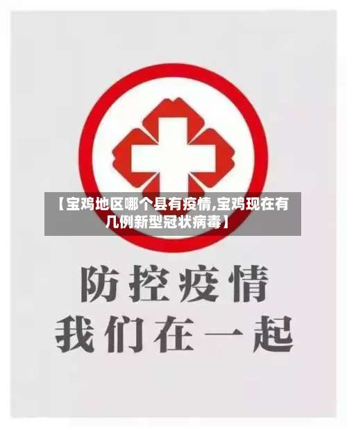 【宝鸡地区哪个县有疫情,宝鸡现在有几例新型冠状病毒】-第1张图片