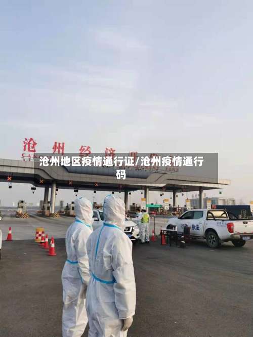 沧州地区疫情通行证/沧州疫情通行码-第1张图片