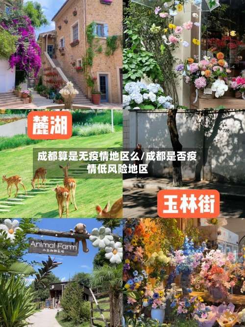 成都算是无疫情地区么/成都是否疫情低风险地区-第1张图片