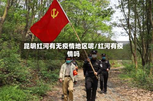 昆明红河有无疫情地区呢/红河有疫情吗-第2张图片